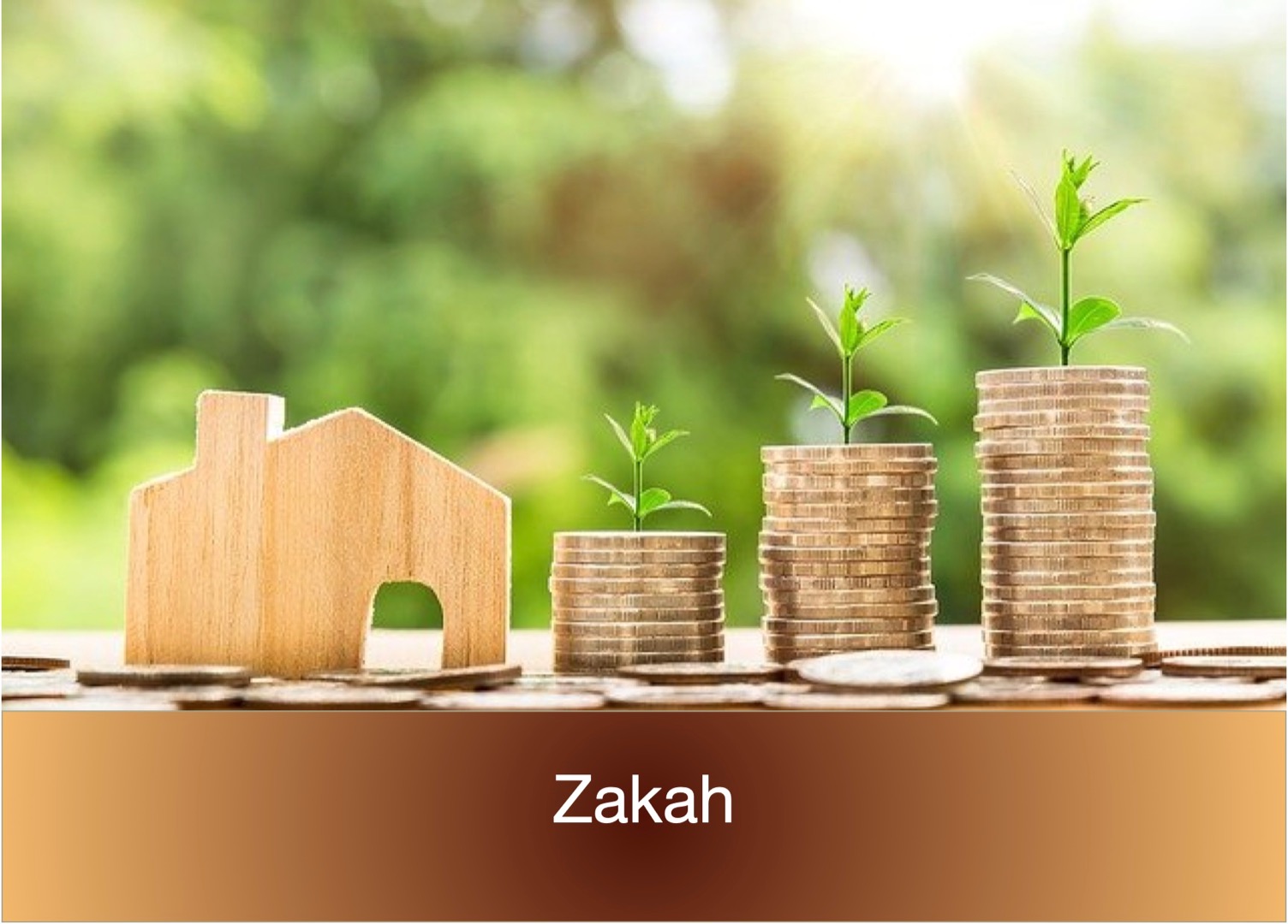 AAOIFI Shari'ah Standard # 35: Zakah